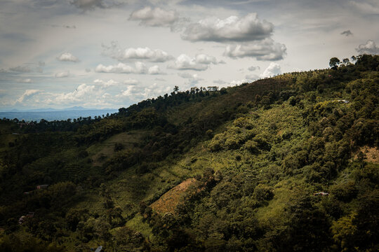 Paisaje Colombiano