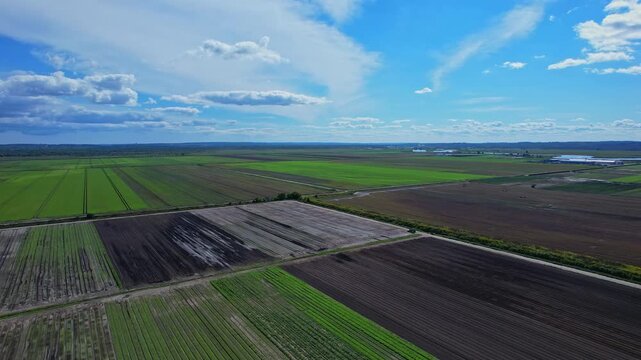 Holland Marsh is known as the heart of Canada's vegetable industry. It produces carrots onions celery lettuce potatoes parsnips cabbage cauliflower beets and a wide variety of Asian vegetables.