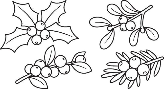 Easy Christmas Berry Plants Kids Coloring Page