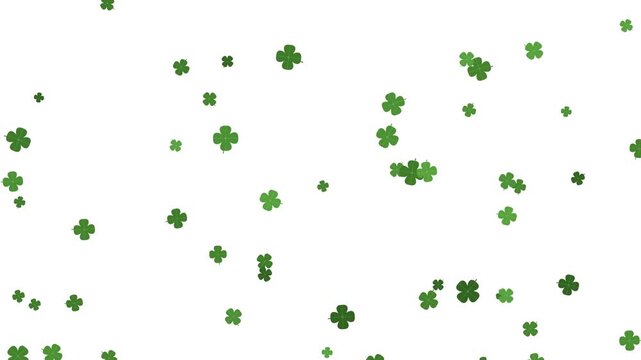 Green four leaf clovers falling slowly against a clean white background