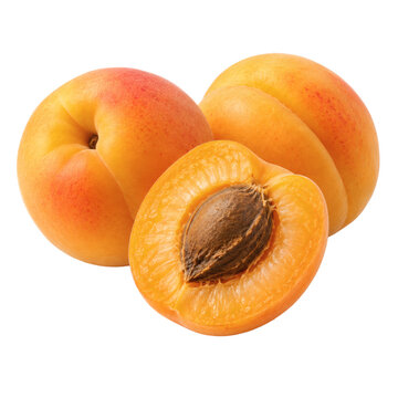 Isolated ripe apricots with a cut half on transparent background