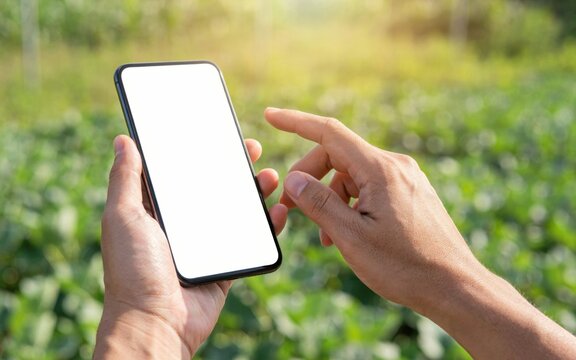 Farmer using smartphone with blank screen