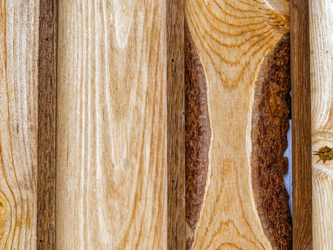 Detail of the wood grain on the exterior wall of a cabin in the woods