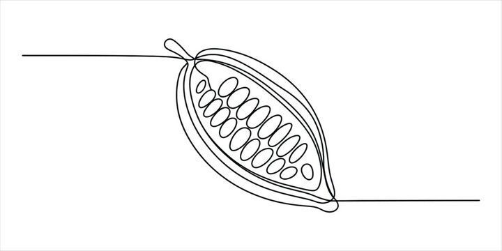 Continuous single line drawing of an open cocoa pod with beans inside simple style