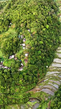 Aerial shot of the amazing terraced rice paddies in the mountains near Banaue Philippines. Vertical video.