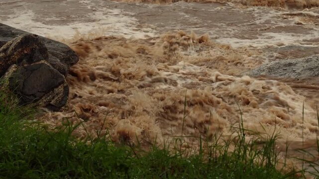 Rushing turbulent muddy waterfall and forest river rapid after overnight heavy rainstorm