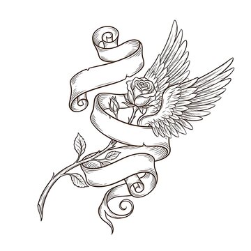 Vintage style hand drawn rose flower with angel wings and decorative scroll banner ribbon illustration