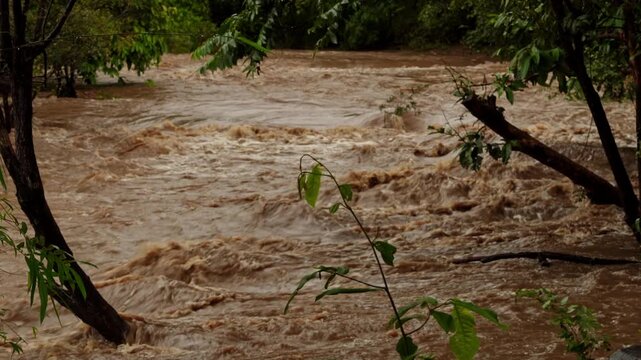 Rushing turbulent muddy waterfall and forest river rapid after overnight heavy rainstorm
