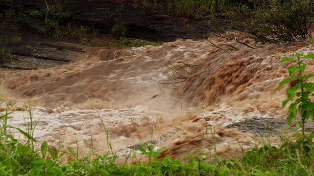 Rushing turbulent muddy waterfall and forest river rapid after overnight heavy rainstorm