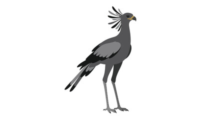 Fototapeta premium Secretary Bird Vector Illustration