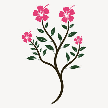 Pink hibiscus flower branch vector illustration
