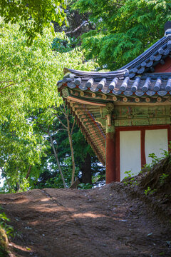 Traditional Korean temple architecture with colorful dancheong roof eaves standing above a dirt path in lush green forest.