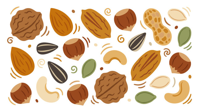 Set of assorted nuts and seeds flat vector illustration featuring walnut almond pecan hazelnut cashew peanut sunflower and pumpkin seeds for food