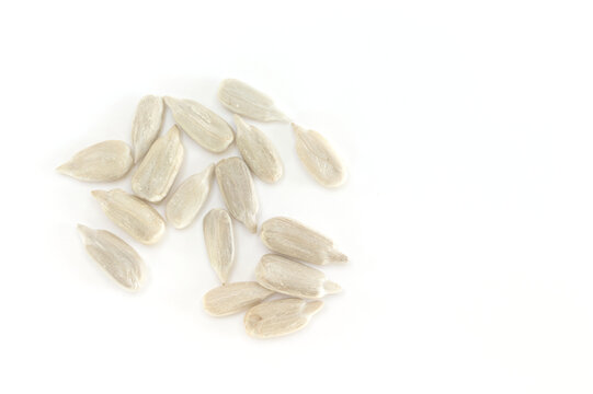 Few shelled sunflower seeds on white background with copy space