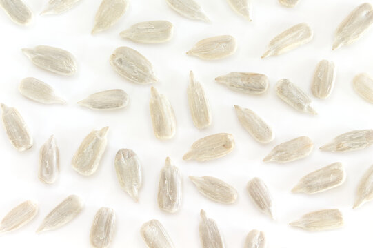 Shelled sunflower seeds scattered evenly on white background pattern