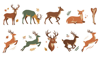 Obraz premium Forest deer and stags silhouettes running jumping and grazing.
