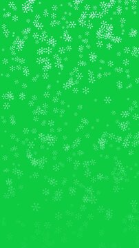 White Snowflakes Falling Vertical Green Screen Background Winter Animation