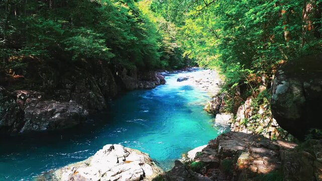 長野県の阿寺渓谷