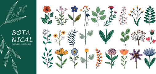 Fototapeta premium Set of colorful hand drawn botanical flowers and leaf elements for nature design