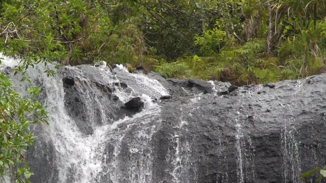 Water cascades down dark rock face surrounded by lush green foliage creating a serene natural scene.