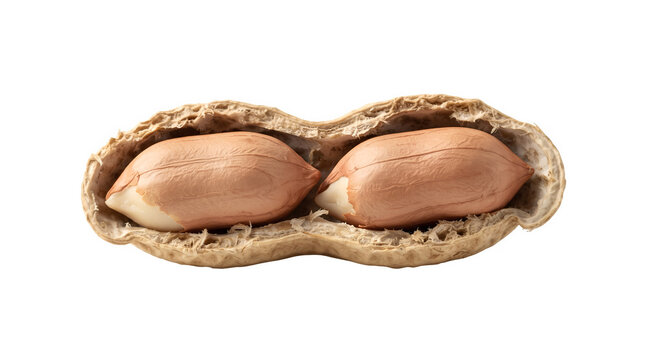 Raw peanut in open shell isolated on white background, organic groundnut with two kernels, healthy snack ingredient, macro food photography