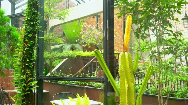 Wide shot of a cozy indoor garden with green plants, terracotta pots, and outdoor furniture