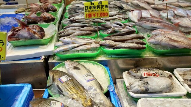 A vibrant dynamic display of fresh seafood with various fish and squid on ice at a bustling japanese market.