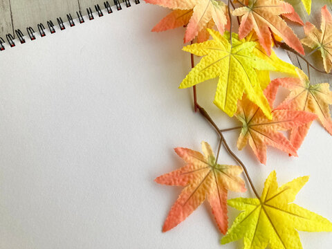 開いたスケッチブックと色鮮やかな紅葉・秋のスケッチ旅行や紅葉狩り・写生・読書・秋のイベント・秋の習い事キャンペーン・カルチャースクール案内・紅葉観光ガイド