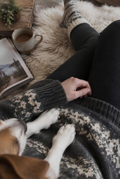 Cozy Winter Scene Person with Dog Hot Drink and Book by Fireplace