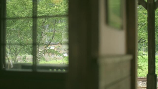 窓の外の新緑から室内の木枠へピントが移動する古民家の風景