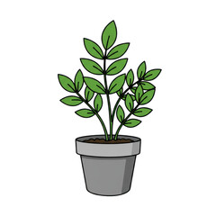 Fototapeta premium Photorealistic high end 3d cgi render of beautiful green indoor houseplant in ceramic pot isolated on dark background for premium graphic design