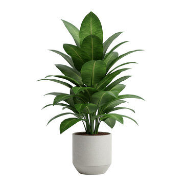 Photorealistic high end 3d cgi render of lush tropical foliage plant in pot isolated on dark background for premium graphic design
