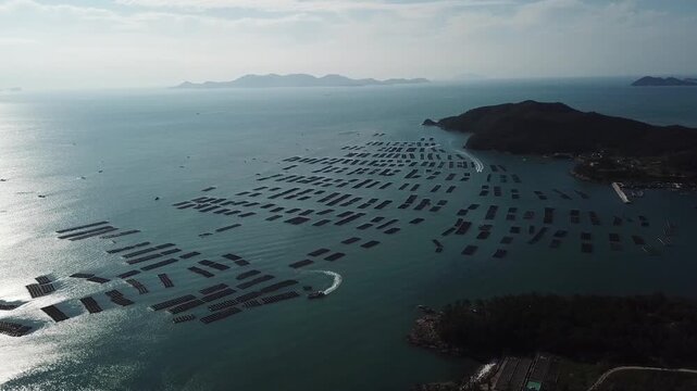 Abalone Abalone Farm Fresh Abalone Seafood Raw Abalone Shellfish Korea 전복 전복양식장 활전복 수산물 참전복 해산물 패류 식재료 한국