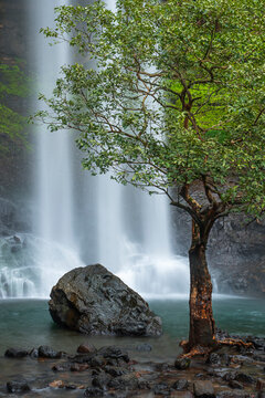 Vasundhara Waterfall, A massive, roaring, spectacular seasonal waterfall, Bhandardara, Maharashtra, India