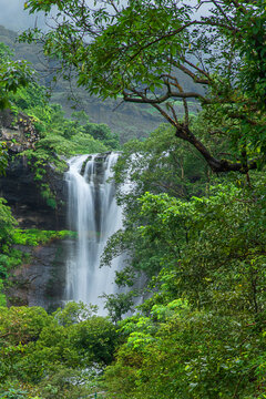Koltembhe or Baahubali Waterfall, A massive, roaring, spectacular seasonal waterfall, Bhandardara, Maharashtra, India