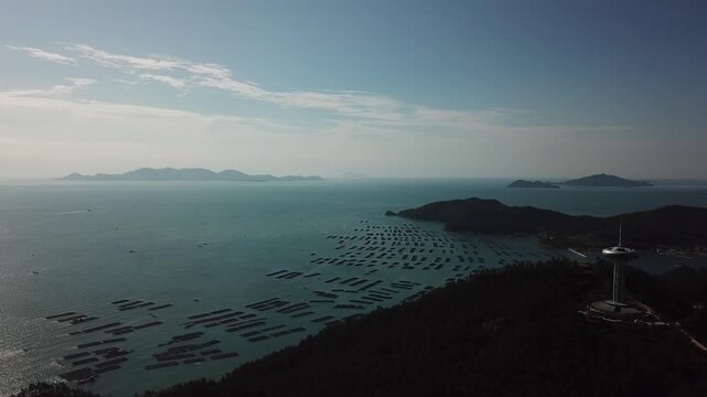 Abalone Abalone Farm Fresh Abalone Seafood Raw Abalone Shellfish Korea 전복 전복양식장 활전복 수산물 참전복 해산물 패류 식재료 한국