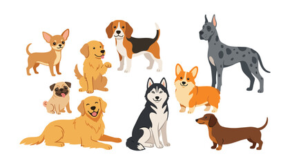 Fototapeta premium Vector collection of popular domestic dog breeds featuring happy cartoon husky corgi retriever pug dachshund beagle and chihuahua