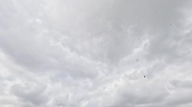 Dynamic time-lapse of dense white and grey clouds moving rapidly across the sky, with small patches of blue. Great for weather and time concepts.