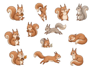 Obraz premium Cute Squirrels in Various Poses: A charming collection of illustrations featuring adorable squirrels engaged in a multitude of playful activities.