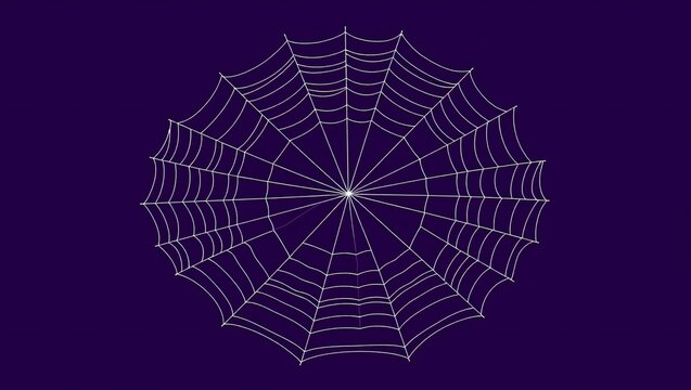 A circular spider web pattern isolated on a dark blue background