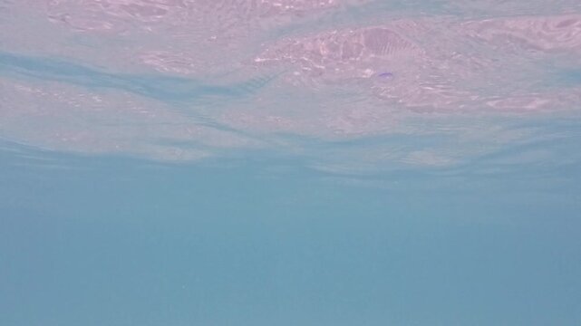Clear sea water view just below the surface, Eef Beach in Kume Island, Okinawa, Japan
