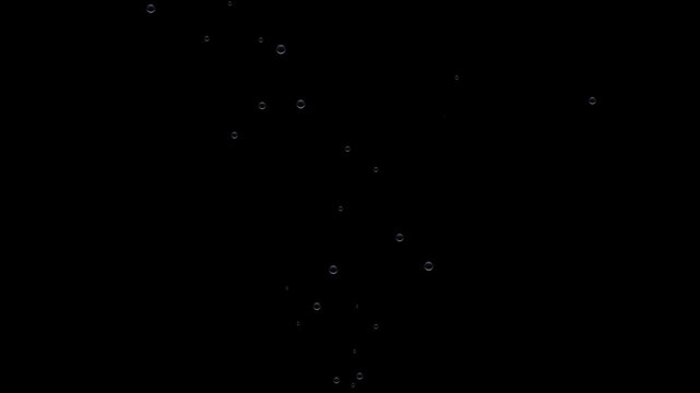 Floating water bubbles rising over black background. bubble animation Abstract white bubble background. Distribution of bubbles moving from bottom to top. 4k animation