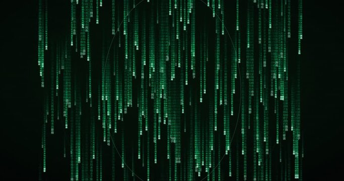 Matrix rain animation with Han ideogram characters in phosphor green, creating a deep mainframe atmosphere with slow falling code.