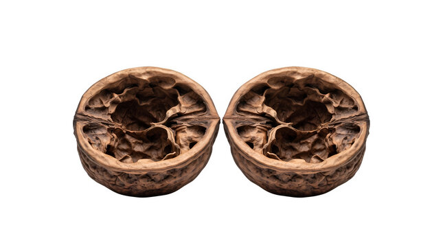 Empty walnut shells isolated on white background, pair of brown textured nut shells, organic wooden bowl shapes for natural product design