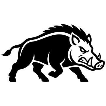 Wild boar vector illustration isolated on transparent background, charging wild animal mascot graphic