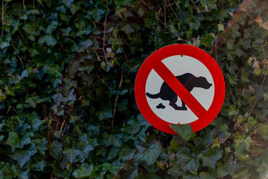 Red circle forbids dog waste. Green ivy surrounds the sign. Dog silhouette shows pooping action. Sign aims to keep park clean. Public places use this warning. People avoid littering areas