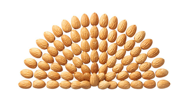 Symmetric almond nut pattern in semi-circle fan shape, raw organic almonds on white background, healthy snack food composition for culinary design
