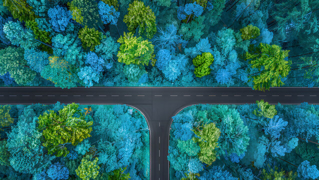 A T-shaped road divides a luminous forest of cyan, lime and mint foliage in a clean and striking top-down composition.