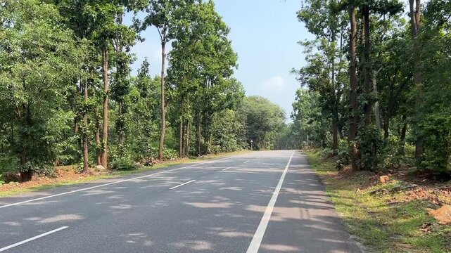 Beautiful roads of Jharkhand covered with Sal trees on both sides; professional landscape photography of Jharkhand forest highway, Sal tree canopy road, Shorea robusta woodland, green scenic road trip