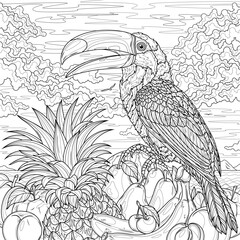 Fototapeta premium Toucan and fruits.Coloring book antistress for children and adults. 